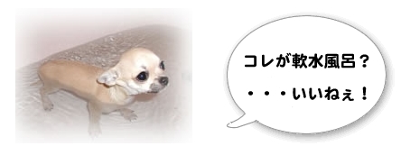 気持ちいいワン!
